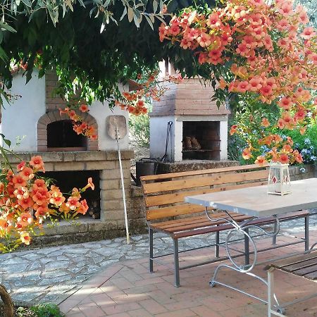 Casa Di Giulia Apartamento Santa Luce Exterior foto